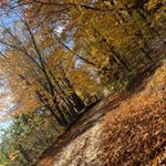 olivia.charter - Instagram Profile Picture of olivia.charter (@olivia.charter) on Instagram