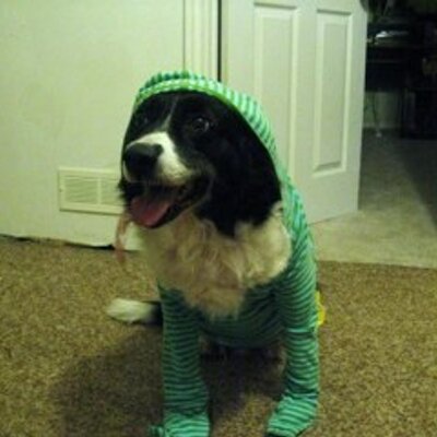 Profile Picture of Hazel Graham (@mollydogy) on Twitter