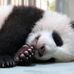 Profile Picture of Shan  Hsieh (@shan.hsieh.98) on Facebook