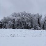 Profile Picture of Mark Currie (@mcur5) on Instagram