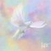 Profile Picture of Jo Chamoun (@rjchamoun) on Pinterest