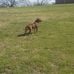 Profile Picture of Royce Holmes (@royce.holmes.6069) on Facebook