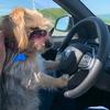Profile Picture of Monica McGee (@@cinnamonikitty) on Tiktok