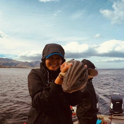 Profile Picture of Sam Renshaw (@SamSavesSharks) on Twitter