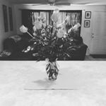 Profile Picture of Brandi Judd (@brandijudd) on Instagram