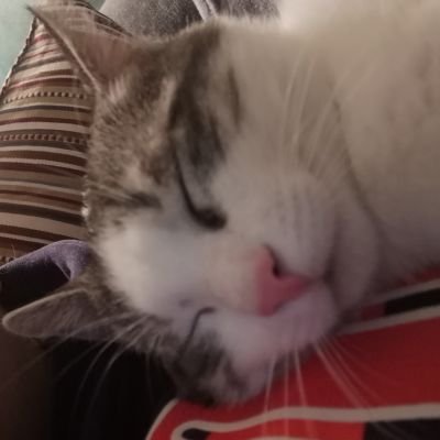 Oscaro - Twitter Profile Picture of Oscaro (@DamienLambert10) on Twitter