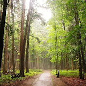 Profile Picture of James Peruski (@jamesperuski6601) on Youtube