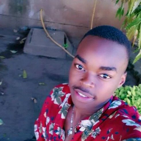 Profile Picture of David Jerry (@davidconvoy) on Tiktok