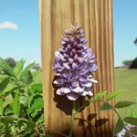 clarice.elaine.wilson - Instagram Profile Picture of clarice.elaine.wilson (@clarice.elaine.wilson) on Instagram