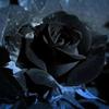 Profile Picture of Alex Mazon (@@alexmazon22) on Tiktok