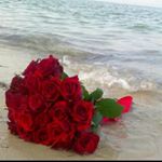 Profile Picture of Rasha Bitar (@rashabitar965) on Instagram