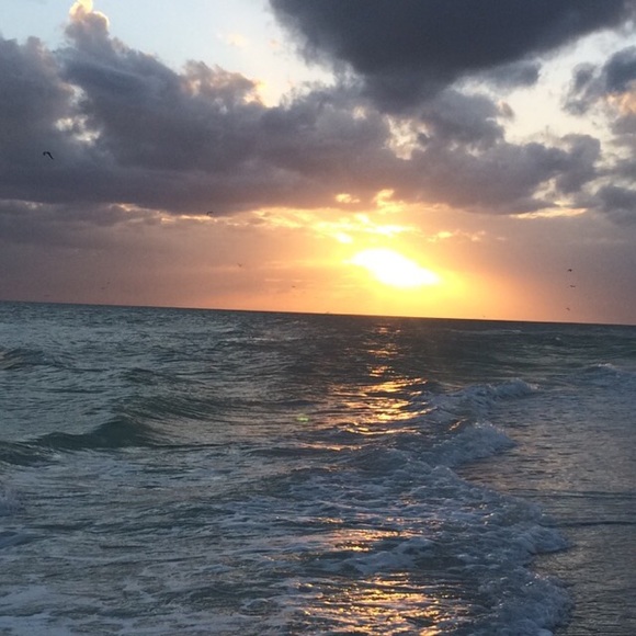 Talia Muscante - Poshmark Profile Picture of Talia Muscante (@_taliaa_57) on Poshmark