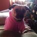 Profile Picture of Sandra Shade (@sandra.shade.79) on Facebook