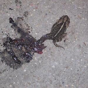 Profile Picture of Jared Selser (@jaselser) on Myspace