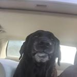 Profile Picture of Tom Flickinger (@flick22102003) on Instagram