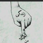 Profile Picture of خاموش سر به مهر باش (@robert.hossein) on Instagram