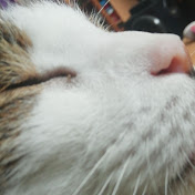 David Bloxham - Youtube Profile Picture of David Bloxham (@davidbloxham3720) on Youtube