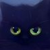 Profile Picture of Ari AbramsFlohr (@Ari-Abrams-Flohr) on Facebook