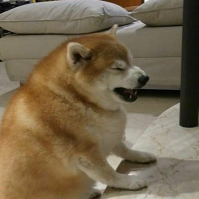 Profile Picture of Cz (@czina_) on Twitter