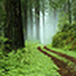 Profile Picture of Michael And Cindy Ehret (@michael and cindy ehret) on Flickr