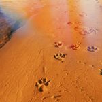 Profile Picture of Caitlin_Minorgan (@caitlin_minorgan) on Instagram