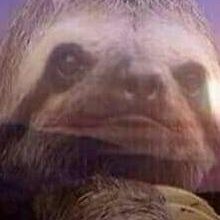 Profile Picture of Jose Emilio Zavala (@emiliozavala064) on Twitter