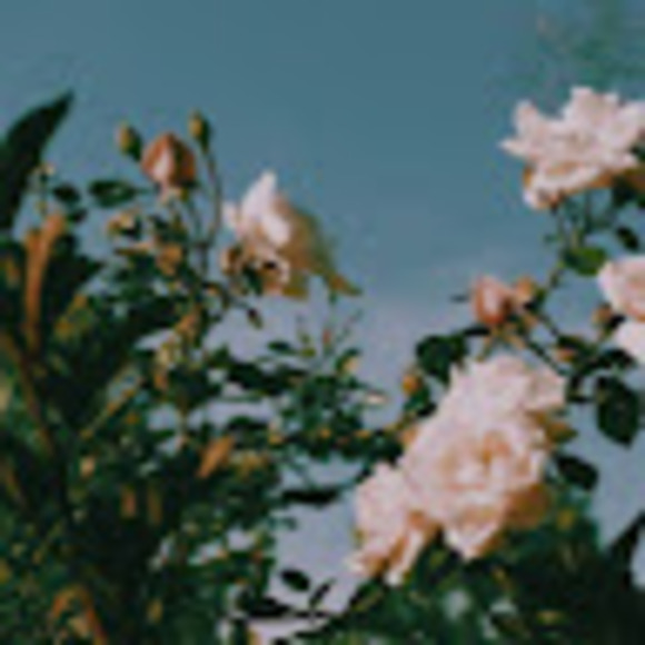 Grace Vallely - Poshmark Profile Picture of Grace Vallely (@gvallely1000) on Poshmark