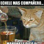 Profile Picture of isabel plasencia (@isabelplasencia94) on Instagram