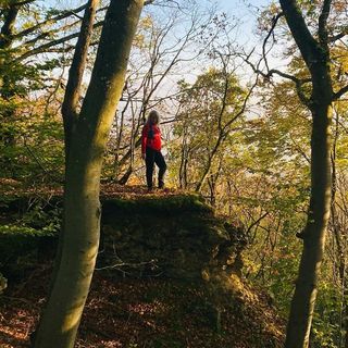 Profile Picture of Nat Mat Bert (@nathalie.bertram) on Instagram