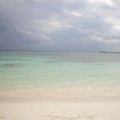 Profile Picture of Ali (@AlisonMcMahon5) on Twitter