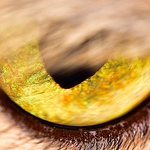 Profile Picture of james holland (@hollandjames0626) on Flickr