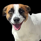 Profile Picture of Aaron Kozlowski (@aaronkozlowski606) on Youtube