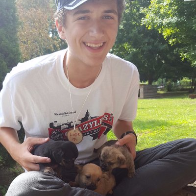 Luke Maier - Twitter Profile Picture of Luke Maier (@aLukewithhands) on Twitter