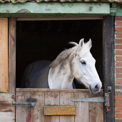 Profile Picture of Greg Mays (@GregMays6185) on Twitter