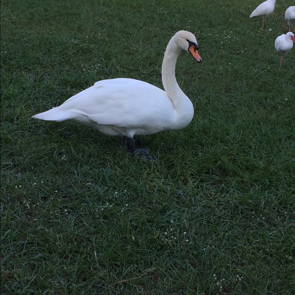 Jodi Heyes - Poshmark Profile Picture of Jodi Heyes (@jheyes) on Poshmark