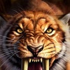 Profile Picture of davidfuche (@@davidfuche) on Tiktok