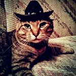 Profile Picture of Joel Yoelsep Roohl Seitz (@buffalo.joel) on Instagram