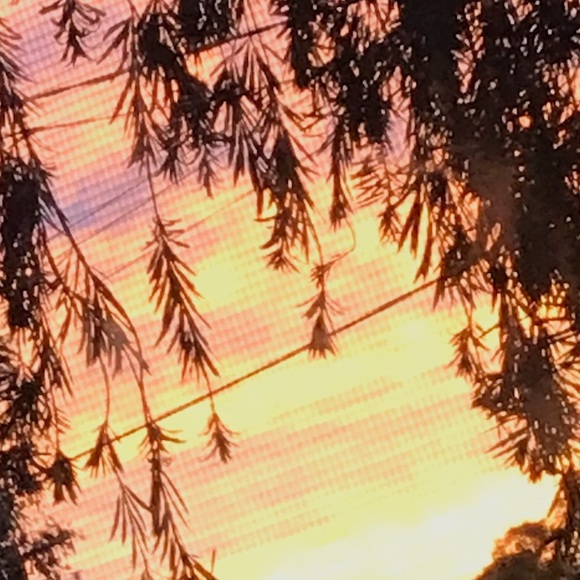 Ash Zillmann - Poshmark Profile Picture of Ash Zillmann (@ash_z21) on Poshmark