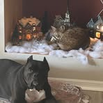 Profile Picture of Devin Glidden (@devin.glidden.313) on Facebook