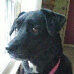 Profile Picture of Nancy Preheim (@npreheim) on Instagram