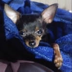 Profile Picture of Roy Berliew (@roy.berliew) on Facebook