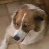 Profile Picture of Andrew Engman (@@aengman04) on Tiktok