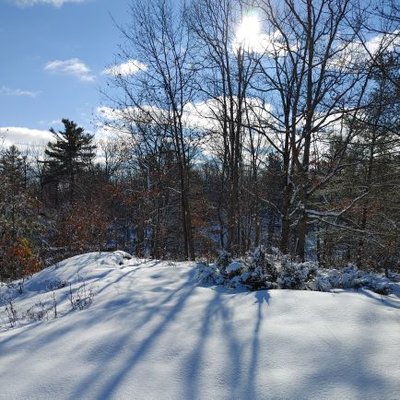 Profile Picture of Sean Hogue (@SeanHogue7) on Twitter