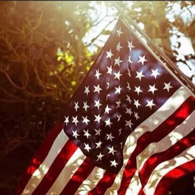 Profile Picture of Nick Fu (@NickFu88) on Twitter