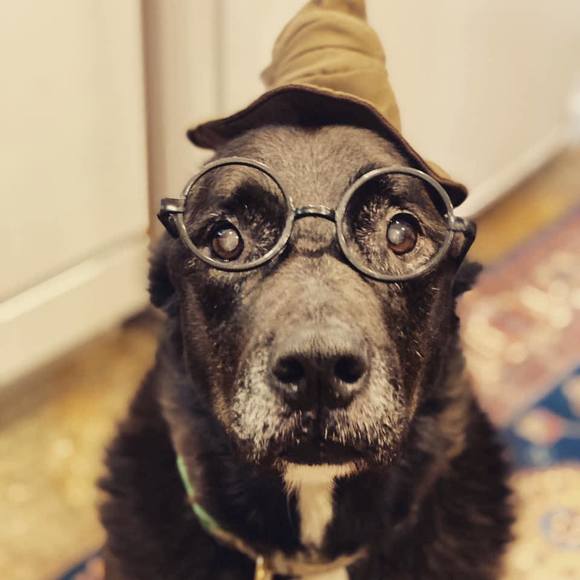 Profile Picture of David Dunbar (@daviddunbar) on Poshmark