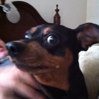 Profile Picture of Scott Dobson (@scott.dobson.524) on Facebook