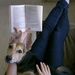 Profile Picture of Alice Raine (@alice3083) on Pinterest