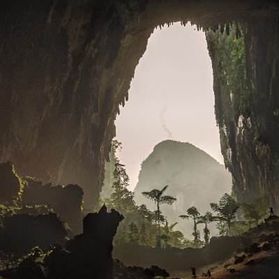 Terrorizing Adam With Caves - Twitter Profile Picture of Terrorizing Adam With Caves (@cave67207776) on Twitter