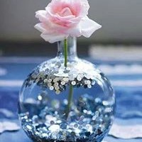 Profile Picture of Elissa M. Corsmeier (@elissa-m-corsmeier) on Quora