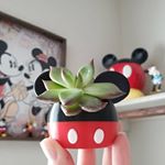 Profile Picture of Jami Jones (@mydisneylandhome) on Instagram